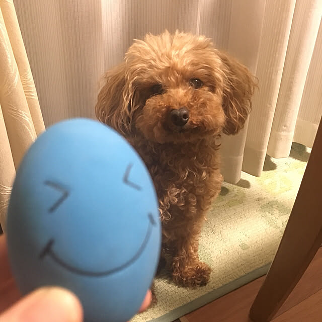 eriharuさんの実例写真