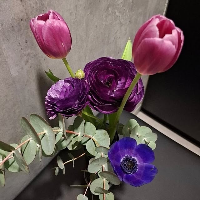 noaさんの部屋