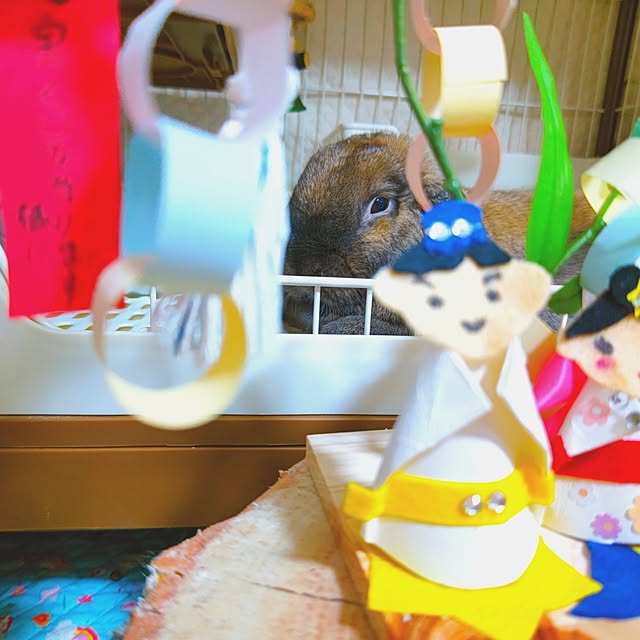 mariaさんの部屋