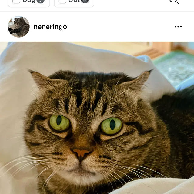 nene6さんの実例写真