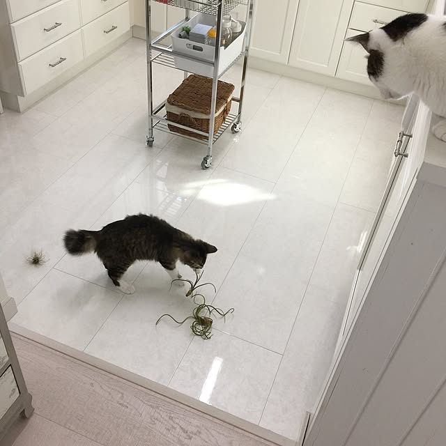 yuchiさんの実例写真