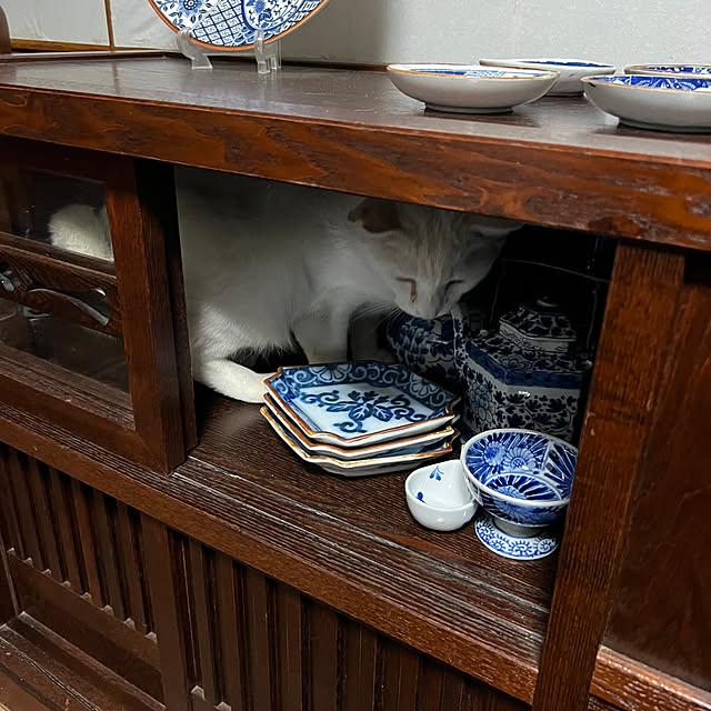 yorozuさんの部屋