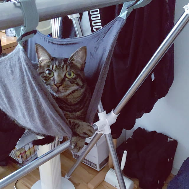 hihaさんの実例写真