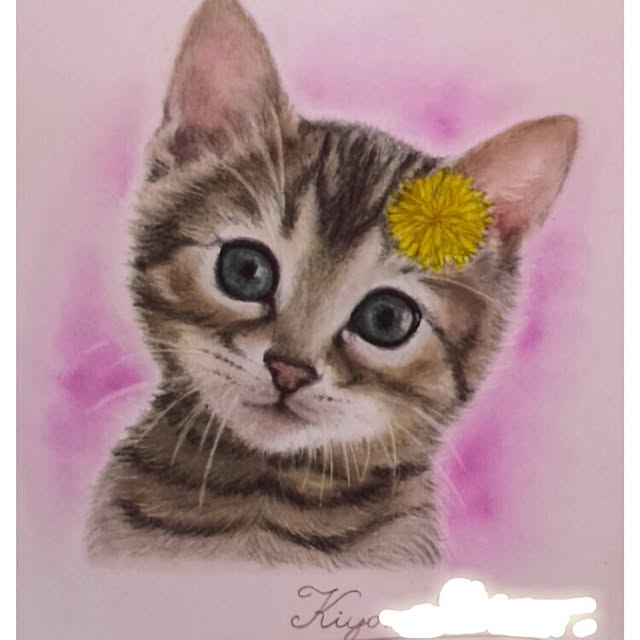 kiyosukeさんの実例写真