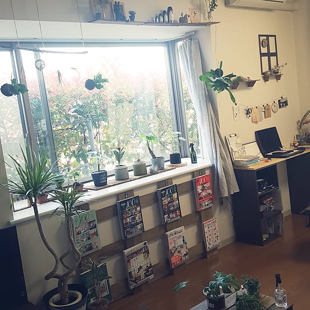 dontsubakiさんの実例写真