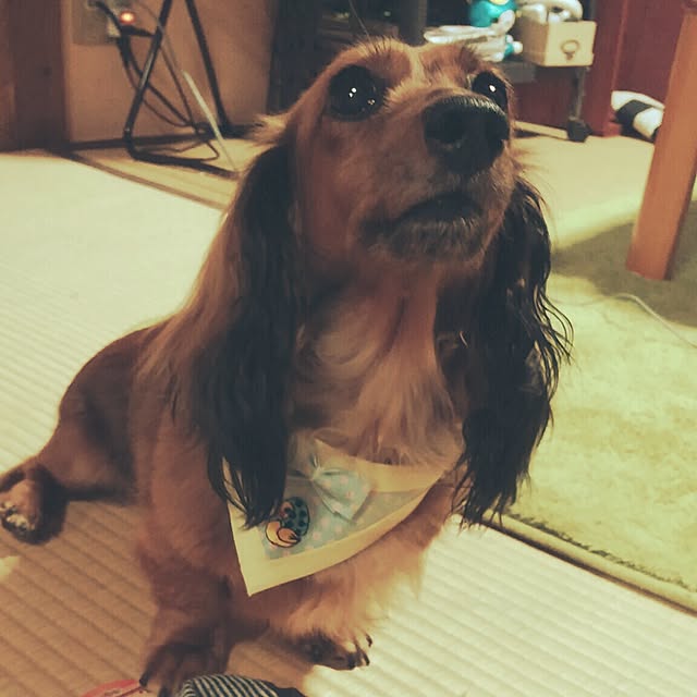 kanchanさんの実例写真