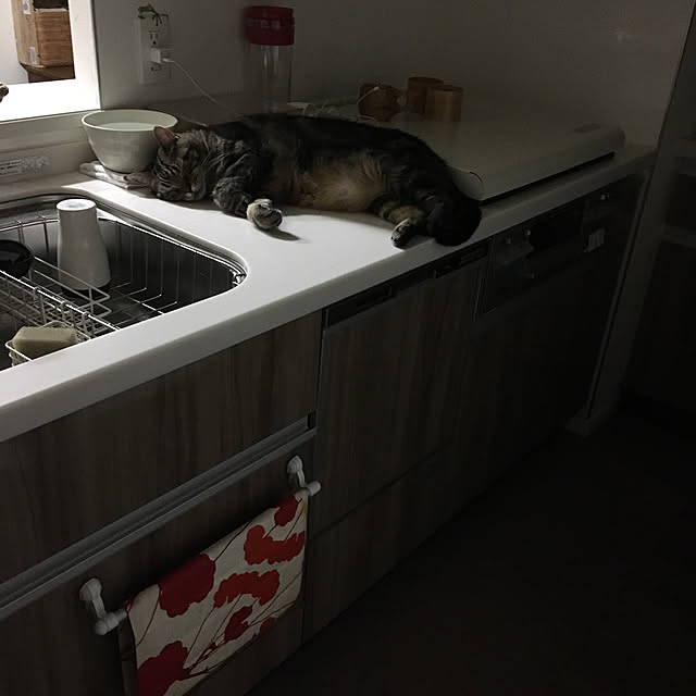 mikomaruさんの実例写真