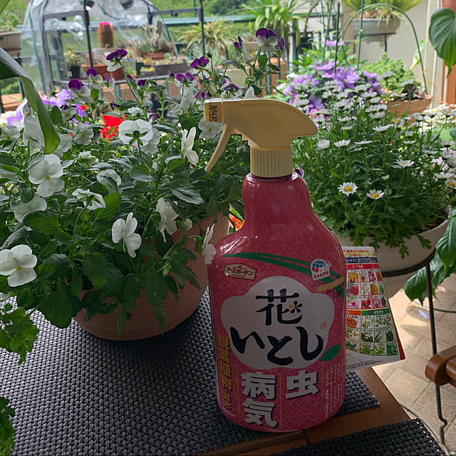 Aqettyさんの実例写真