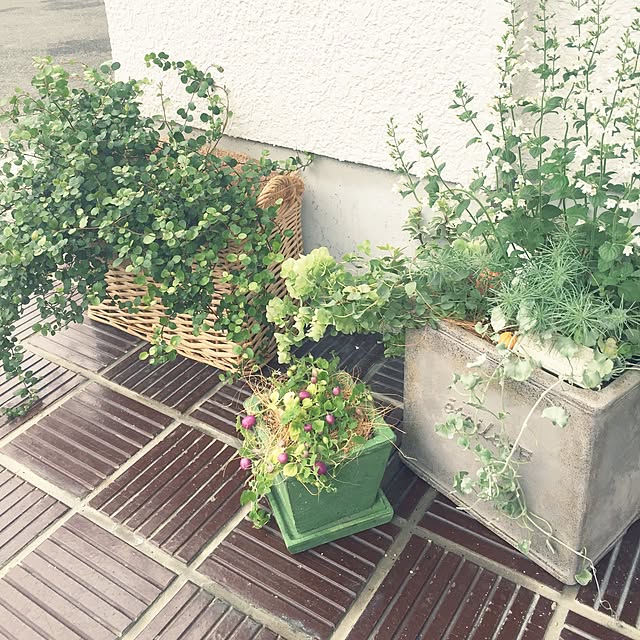marikaさんの実例写真