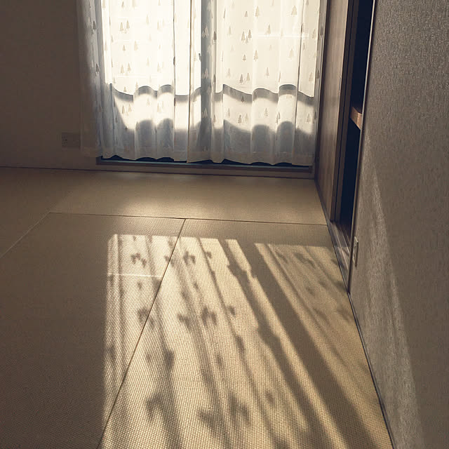 doingさんの実例写真