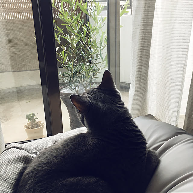 leaさんの実例写真