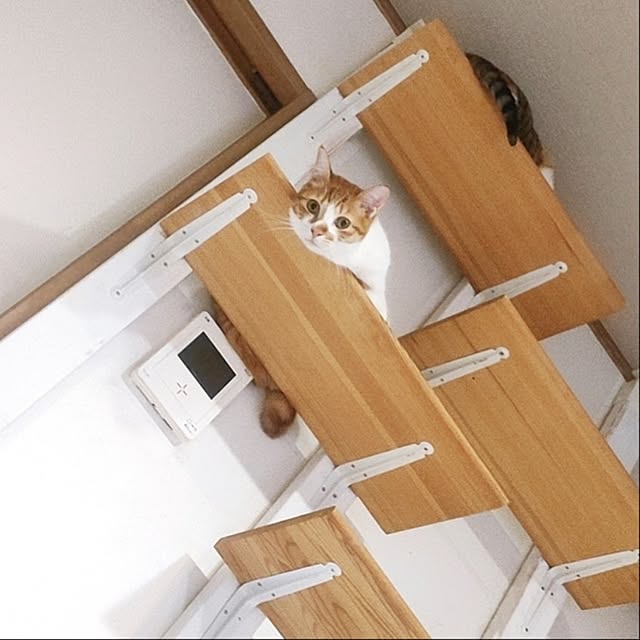 kirakirahikaruさんの実例写真