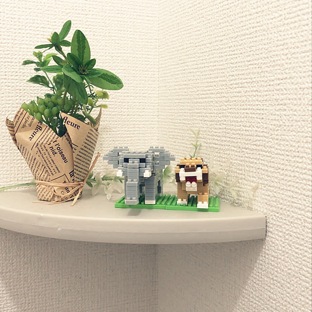 fuwarinさんの実例写真