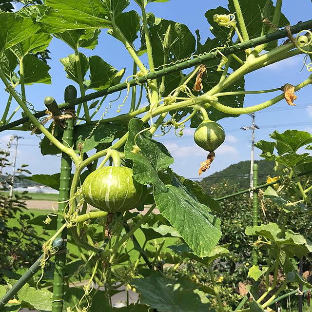 ayomoyuさんの部屋