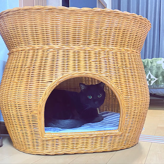 yamamomokansaburouさんの実例写真