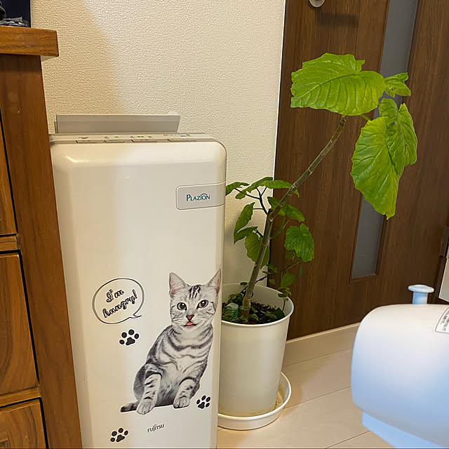 emiさんの実例写真