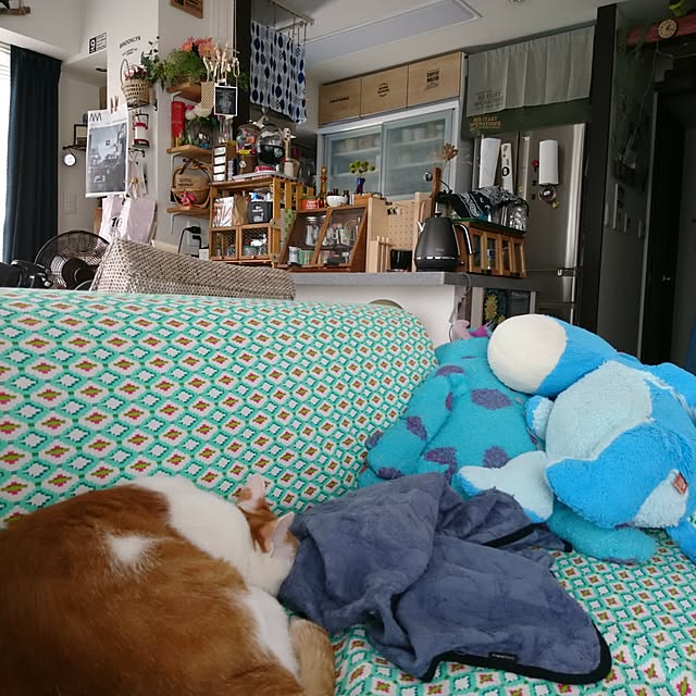 porinさんの実例写真