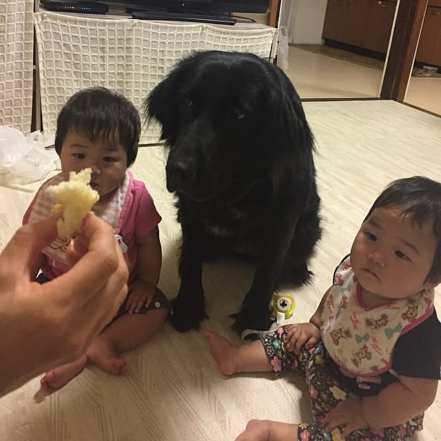 v.4ma-ma.0519さんの実例写真