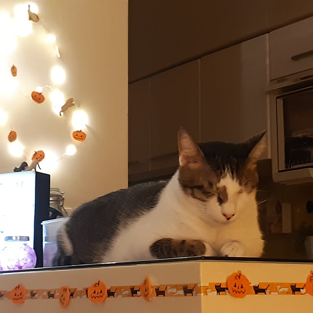 CinqinTWさんの実例写真