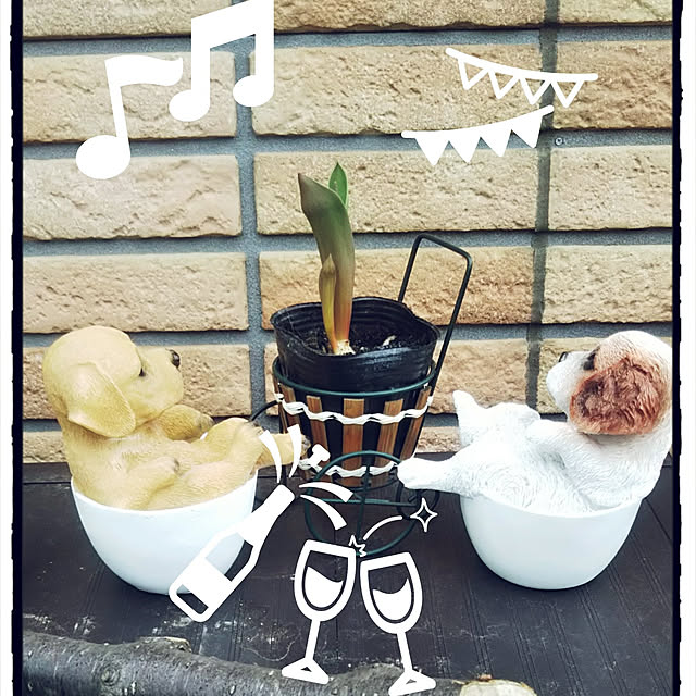 kiraさんの実例写真