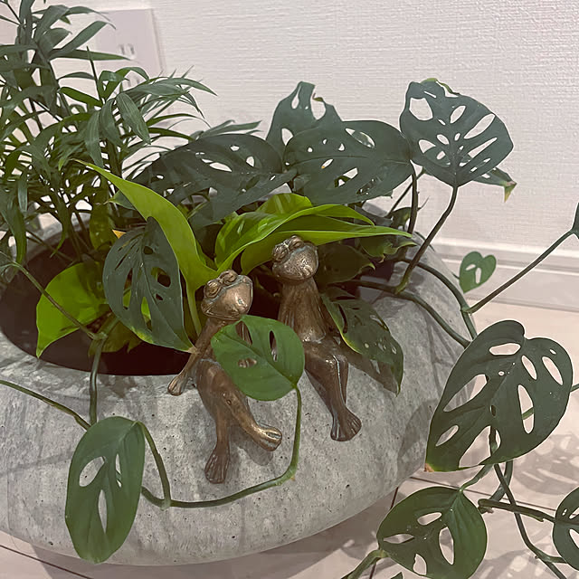 tricoさんの実例写真