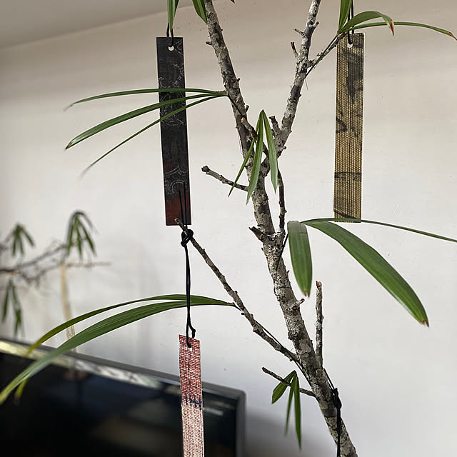 mukuさんの部屋