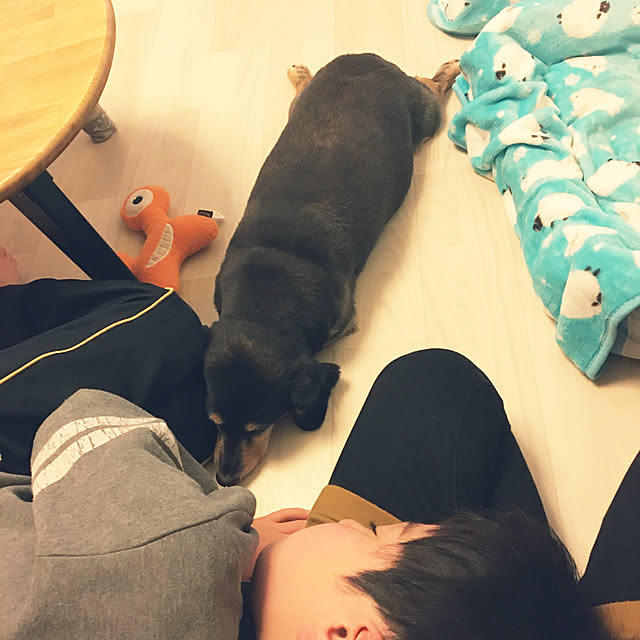 ohanaさんの実例写真