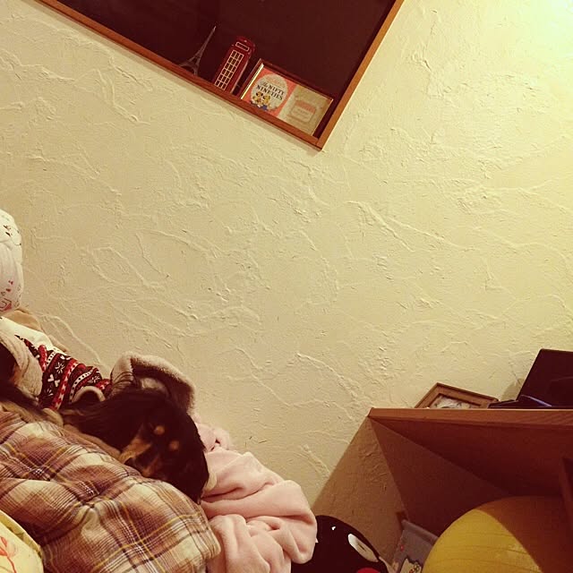 soruhu_1017さんの実例写真