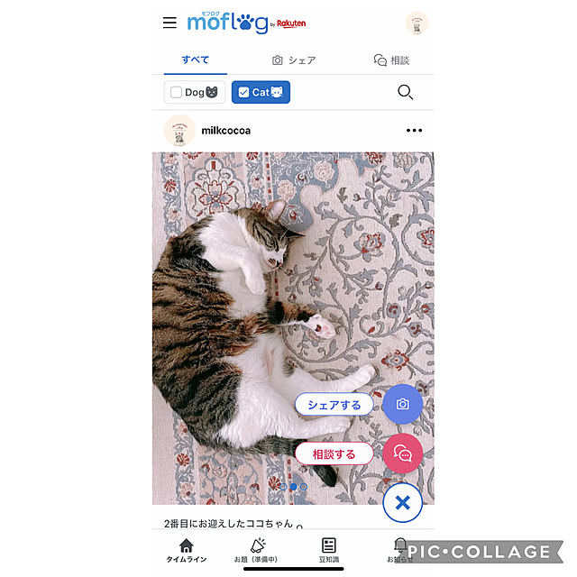 milkcocoaさんの実例写真