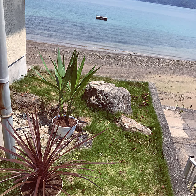 myu522_hさんの実例写真