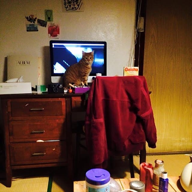 eriさんの実例写真