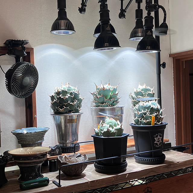 Tさんの実例写真