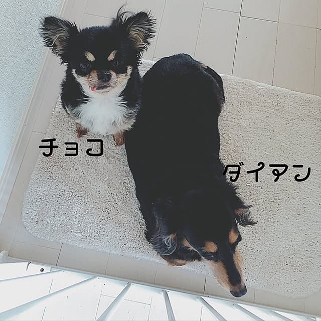 gumichoco.さんの実例写真