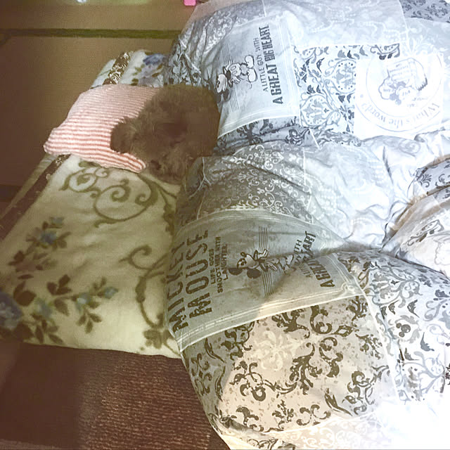 MARIRINさんの実例写真