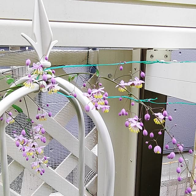 Bienvenueさんの部屋