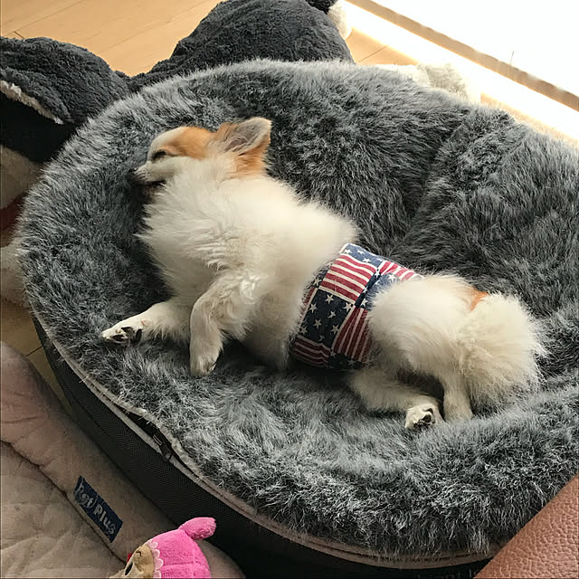 shinjiさんの実例写真