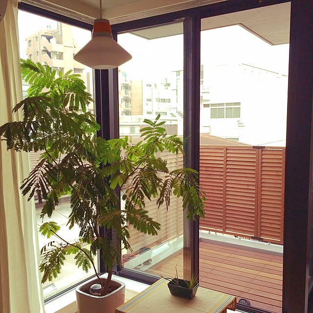 ta98aさんの実例写真