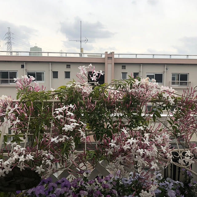 MELOさんの部屋