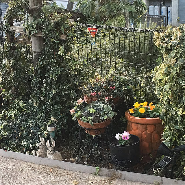 kiyomiさんの実例写真