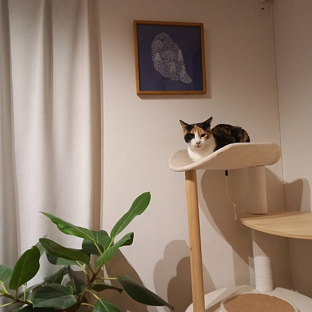 Green-leaf.1206さんの実例写真