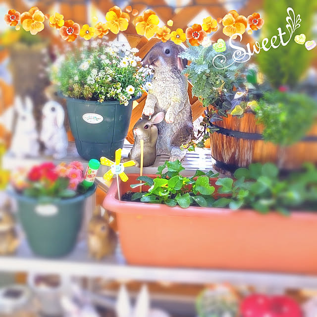 mariaさんの実例写真