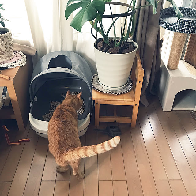 kou-kitiさんの実例写真