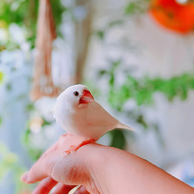 Ursulaさんの部屋