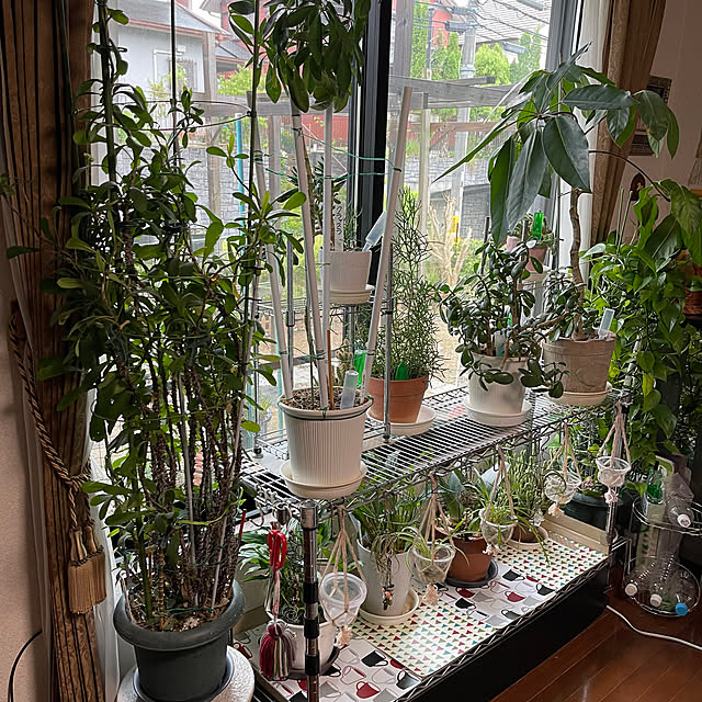 kikiさんの部屋