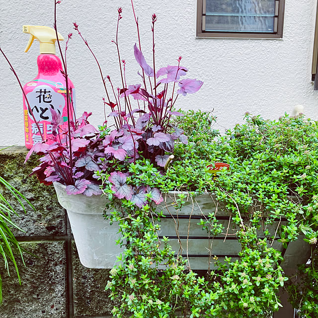 mimichankさんの実例写真