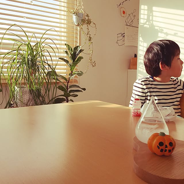 haruhinaさんの実例写真