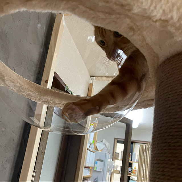kikiさんの実例写真