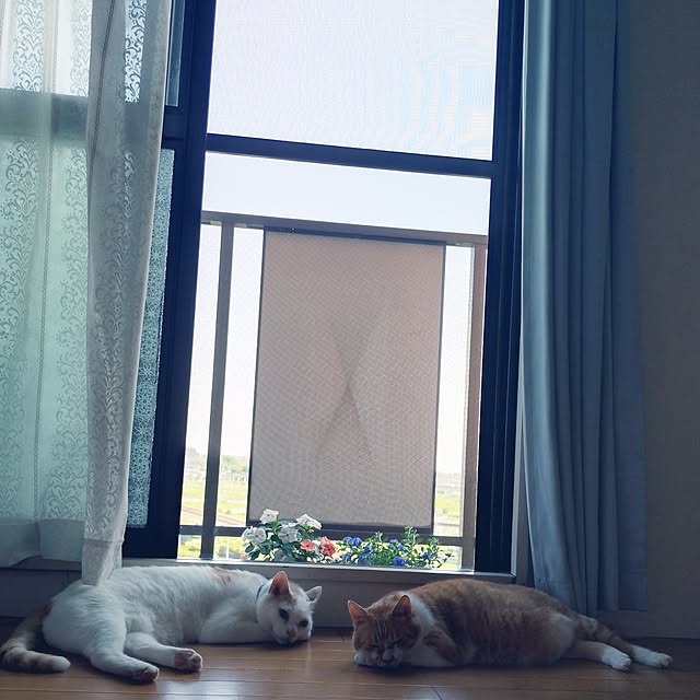 NOAHさんの実例写真