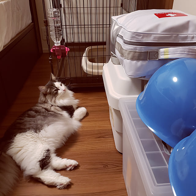 mofさんの実例写真