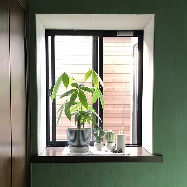 観葉植物のある暮らし/出窓のグリーン/玄関/入り口のインテリア実例 - 2023-06-27 18:03:45